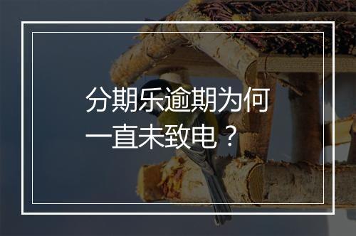 分期乐逾期为何一直未致电？