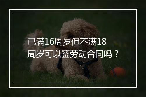 已满16周岁但不满18周岁可以签劳动合同吗？
