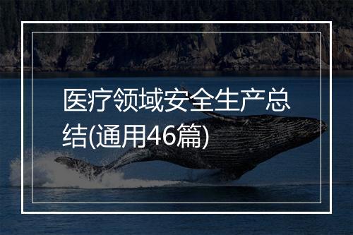 医疗领域安全生产总结(通用46篇)