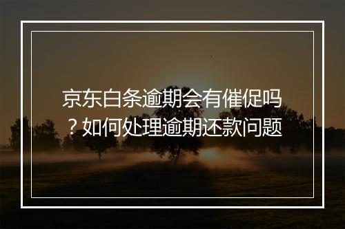 京东白条逾期会有催促吗？如何处理逾期还款问题