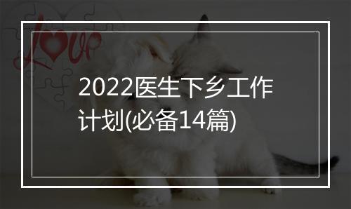 2022医生下乡工作计划(必备14篇)