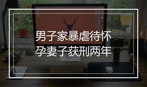 男子家暴虐待怀孕妻子获刑两年