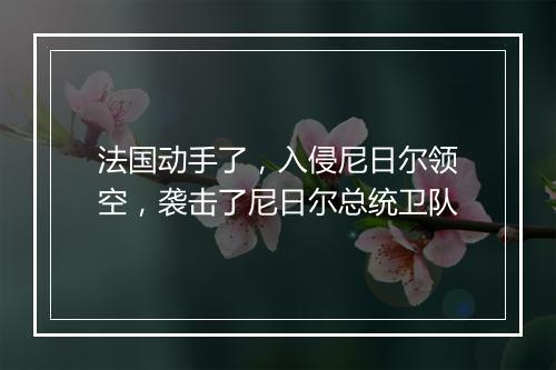 法国动手了，入侵尼日尔领空，袭击了尼日尔总统卫队
