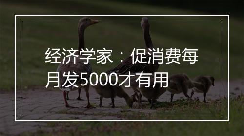 经济学家：促消费每月发5000才有用