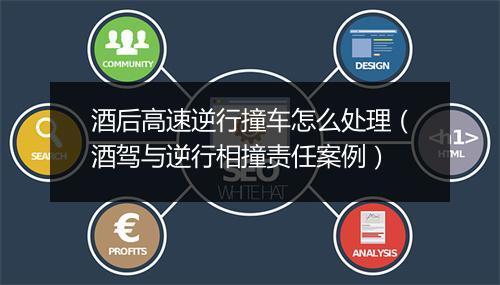酒后高速逆行撞车怎么处理（酒驾与逆行相撞责任案例）