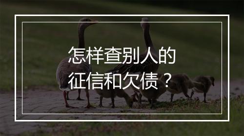 怎样查别人的征信和欠债？