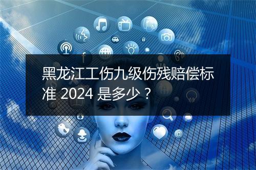 黑龙江工伤九级伤残赔偿标准 2024 是多少？