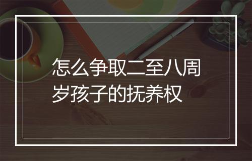 怎么争取二至八周岁孩子的抚养权