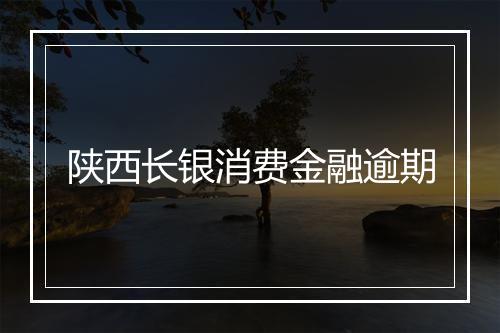 陕西长银消费金融逾期