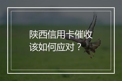 陕西信用卡催收该如何应对？