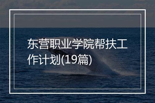 东营职业学院帮扶工作计划(19篇)