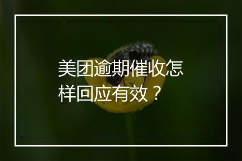 美团逾期催收怎样回应有效？