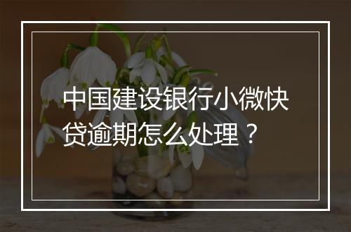中国建设银行小微快贷逾期怎么处理？