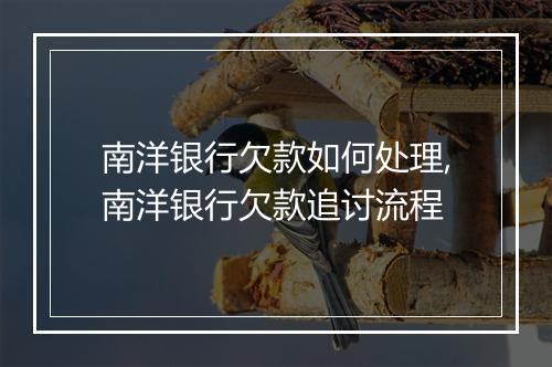 南洋银行欠款如何处理,南洋银行欠款追讨流程