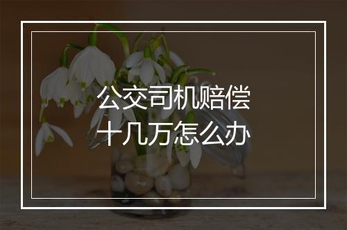 公交司机赔偿十几万怎么办