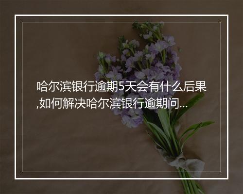 哈尔滨银行逾期5天会有什么后果,如何解决哈尔滨银行逾期问题