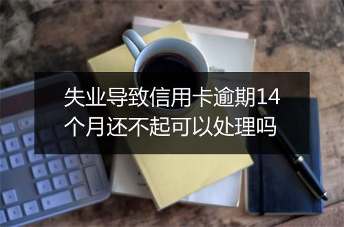 失业导致信用卡逾期14个月还不起可以处理吗