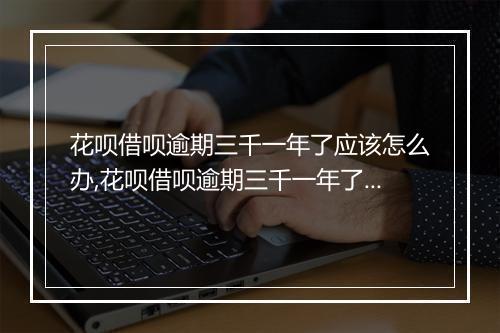 花呗借呗逾期三千一年了应该怎么办,花呗借呗逾期三千一年了会有什么后果