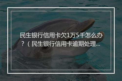 民生银行信用卡欠1万5千怎么办？（民生银行信用卡逾期处理 ）