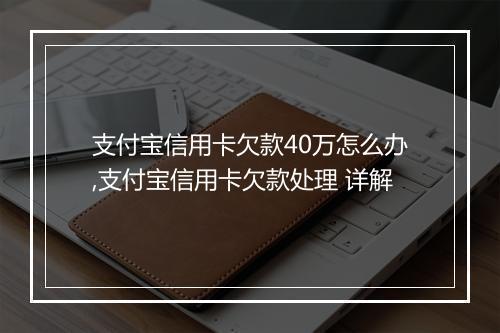 支付宝信用卡欠款40万怎么办,支付宝信用卡欠款处理 详解