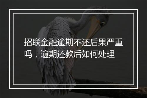 招联金融逾期不还后果严重吗，逾期还款后如何处理