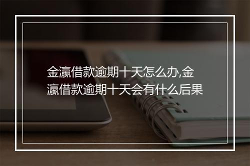 金瀛借款逾期十天怎么办,金瀛借款逾期十天会有什么后果
