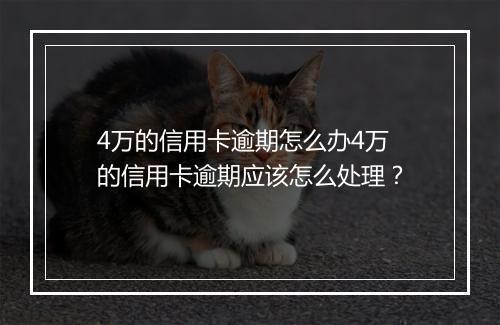 4万的信用卡逾期怎么办4万的信用卡逾期应该怎么处理？