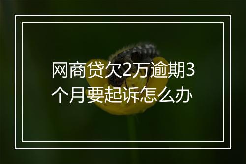 网商贷欠2万逾期3个月要起诉怎么办