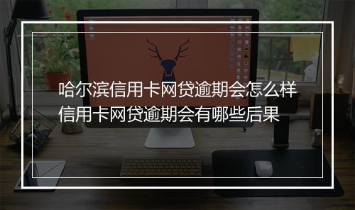 哈尔滨信用卡网贷逾期会怎么样信用卡网贷逾期会有哪些后果
