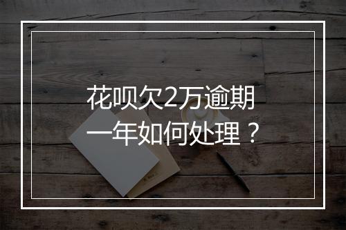 花呗欠2万逾期一年如何处理？