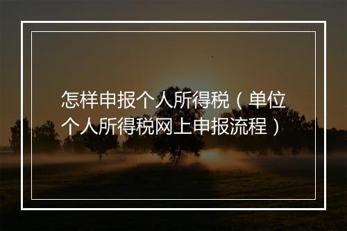怎样申报个人所得税（单位个人所得税网上申报流程）