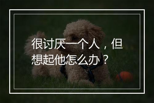 很讨厌一个人，但想起他怎么办？