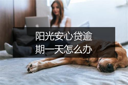 阳光安心贷逾期一天怎么办