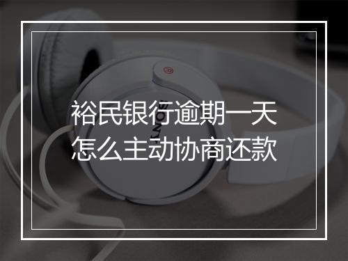 裕民银行逾期一天怎么主动协商还款