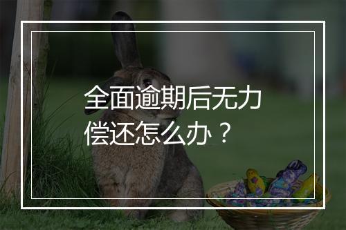 全面逾期后无力偿还怎么办？