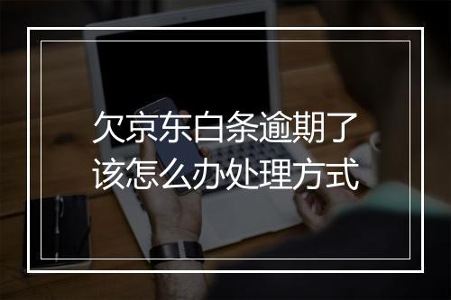 欠京东白条逾期了该怎么办处理方式