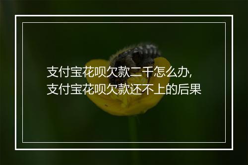 支付宝花呗欠款二千怎么办,支付宝花呗欠款还不上的后果