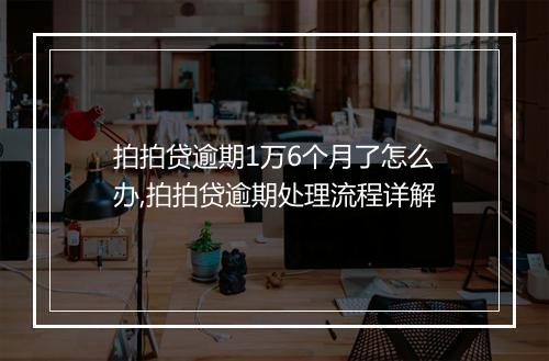拍拍贷逾期1万6个月了怎么办,拍拍贷逾期处理流程详解