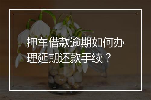 押车借款逾期如何办理延期还款手续？