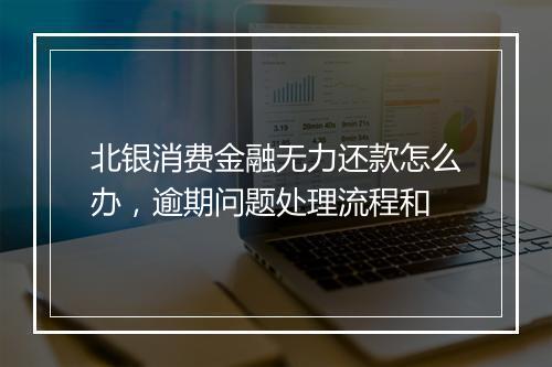 北银消费金融无力还款怎么办，逾期问题处理流程和