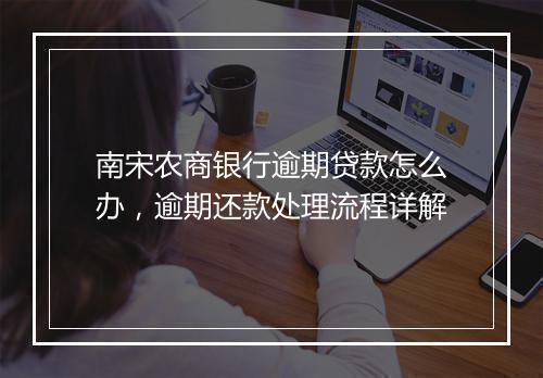 南宋农商银行逾期贷款怎么办，逾期还款处理流程详解