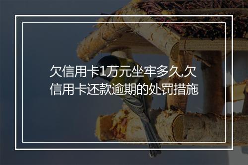欠信用卡1万元坐牢多久,欠信用卡还款逾期的处罚措施