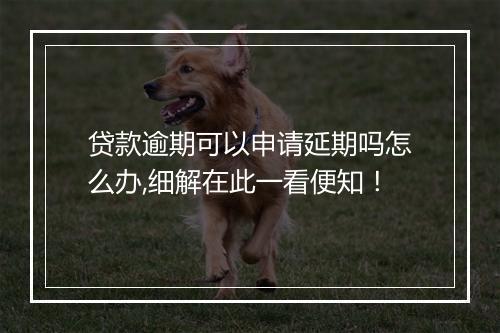 贷款逾期可以申请延期吗怎么办,细解在此一看便知！