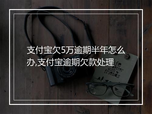支付宝欠5万逾期半年怎么办,支付宝逾期欠款处理