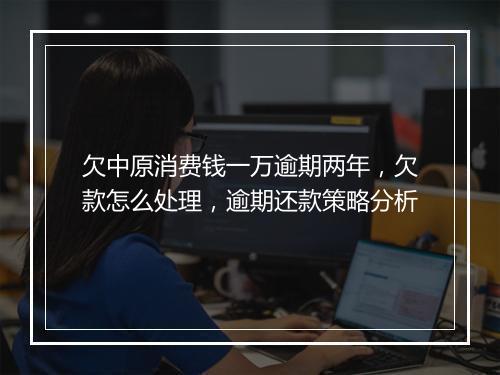 欠中原消费钱一万逾期两年，欠款怎么处理，逾期还款策略分析