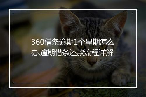 360借条逾期1个星期怎么办,逾期借条还款流程详解