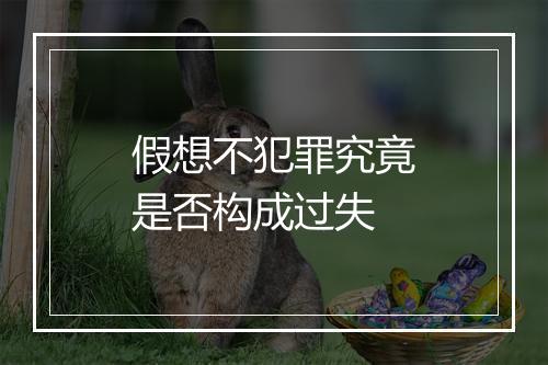 假想不犯罪究竟是否构成过失