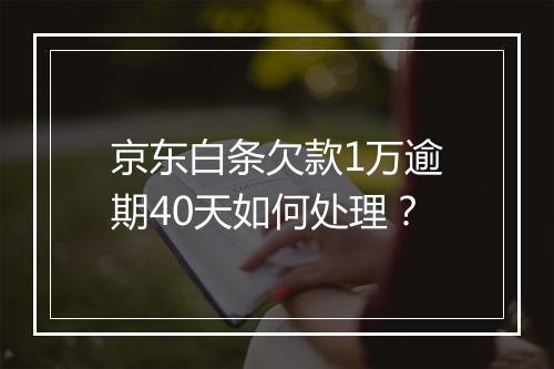 京东白条欠款1万逾期40天如何处理？