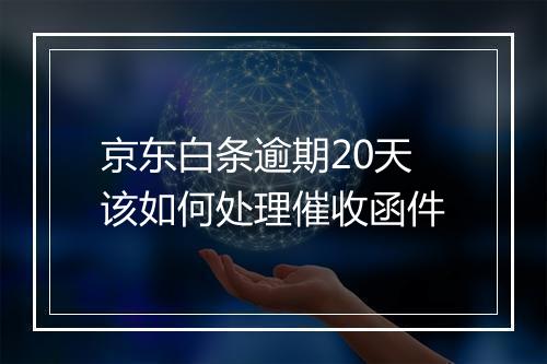 京东白条逾期20天该如何处理催收函件