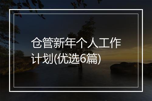 仓管新年个人工作计划(优选6篇)